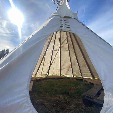 Ferienhaus Klause Neureichenau Dış mekan fotoğraf
