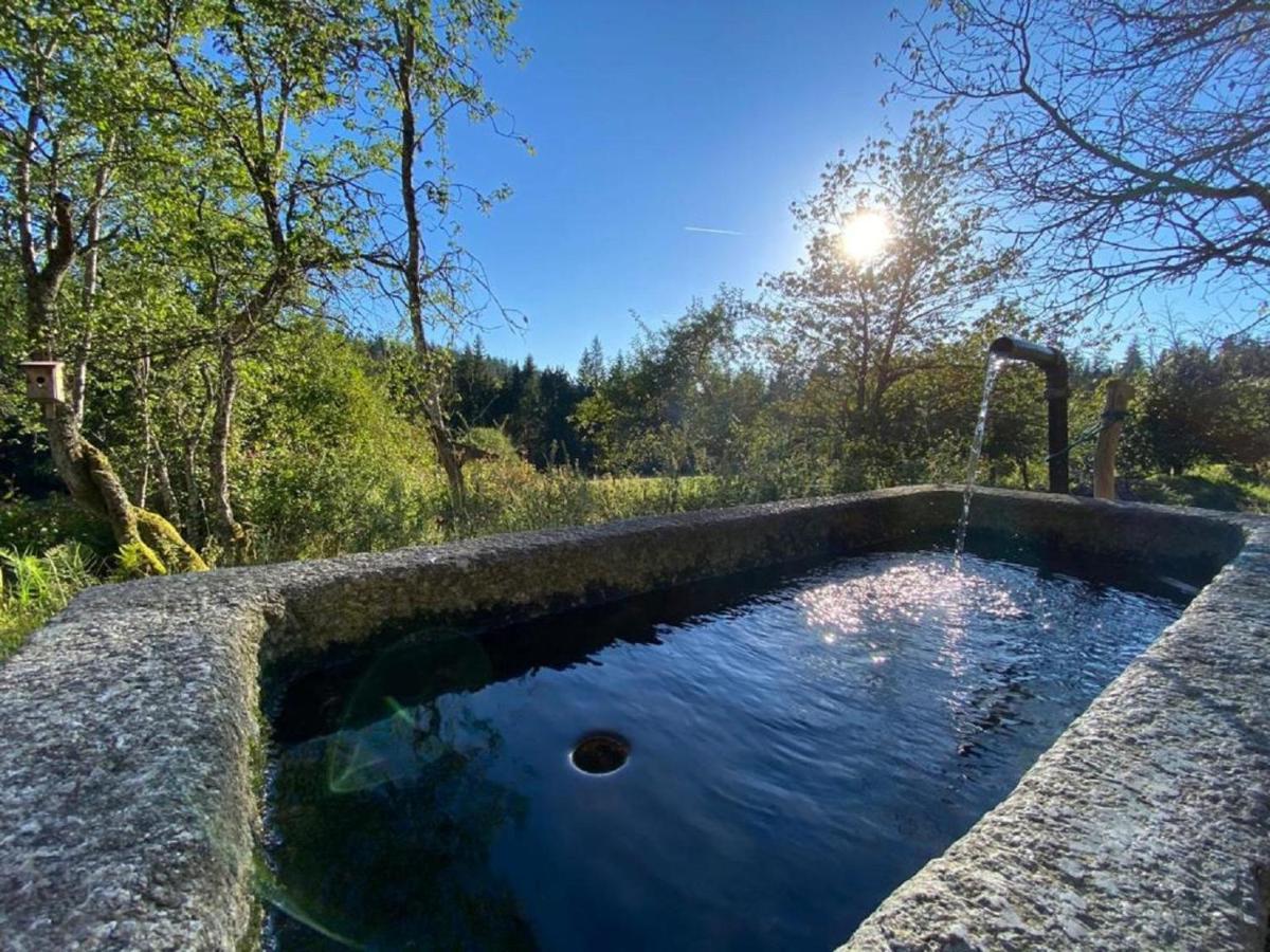 Ferienhaus Klause Neureichenau Dış mekan fotoğraf