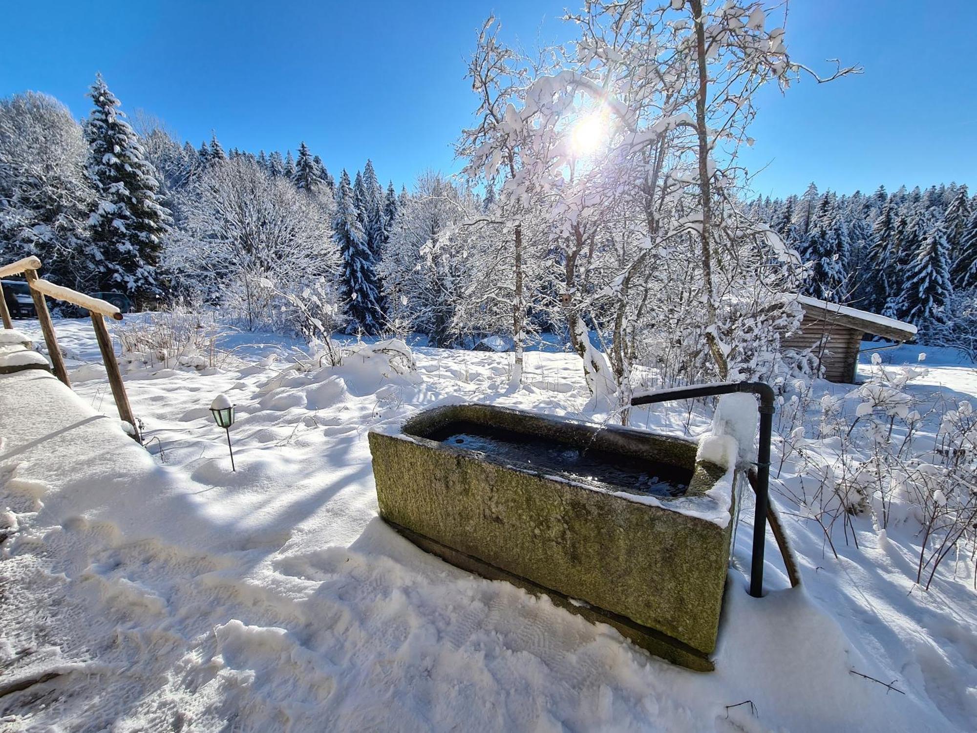 Ferienhaus Klause Neureichenau Dış mekan fotoğraf