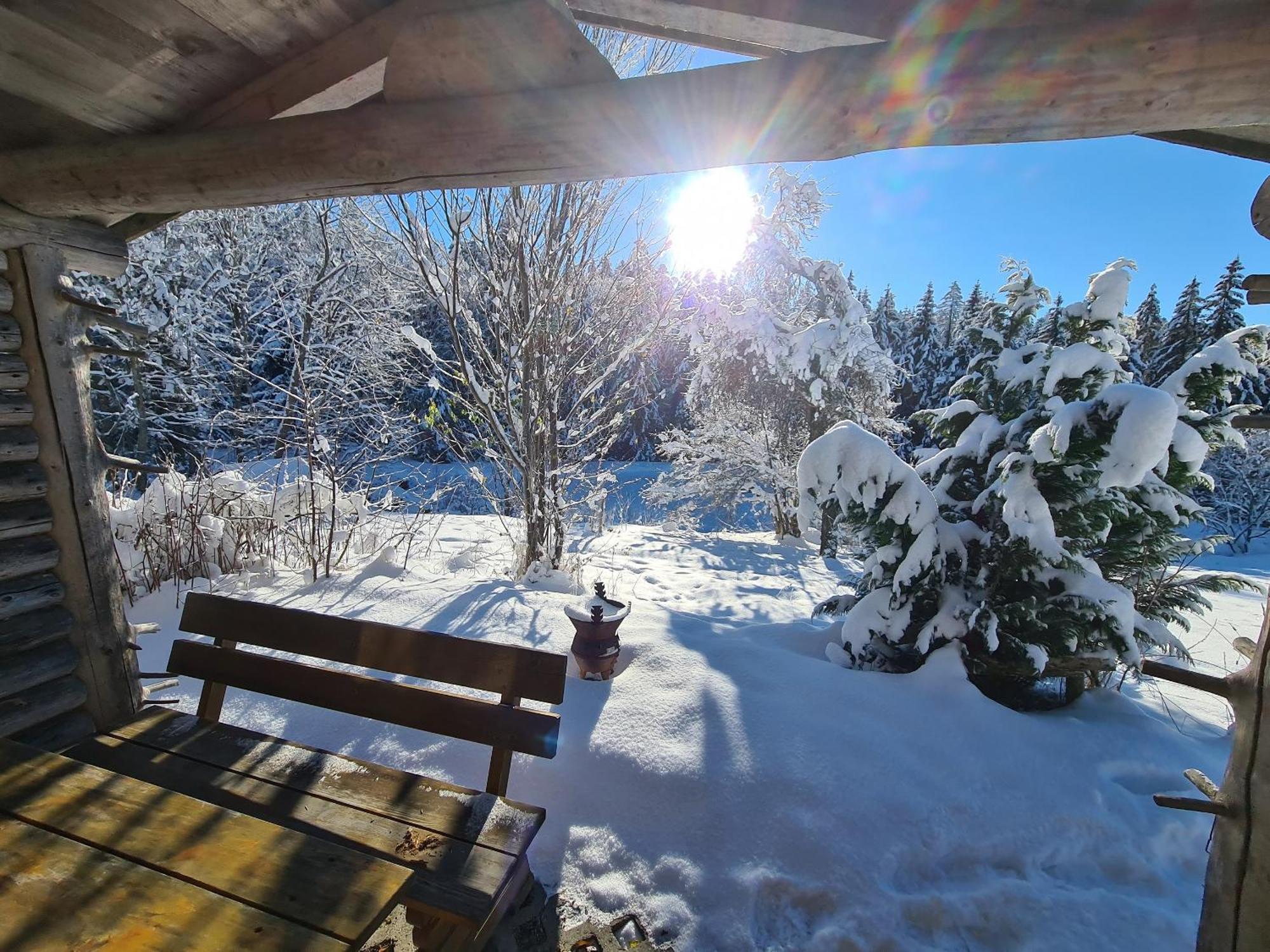 Ferienhaus Klause Neureichenau Dış mekan fotoğraf